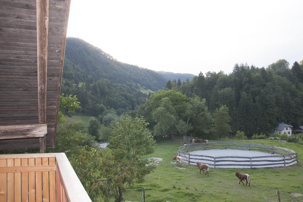 Apartments Pri Bostjanovcu Gorenja Vas  Esterno foto